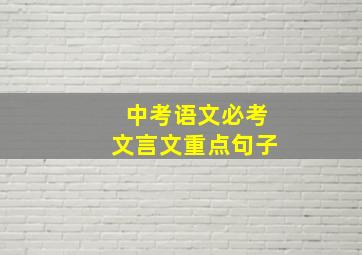 中考语文必考文言文重点句子