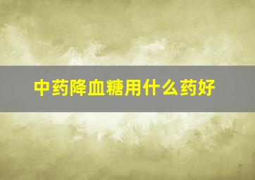 中药降血糖用什么药好