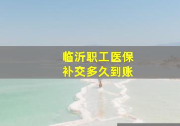 临沂职工医保补交多久到账