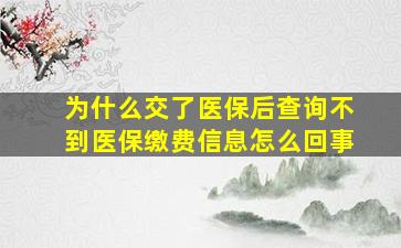 为什么交了医保后查询不到医保缴费信息怎么回事