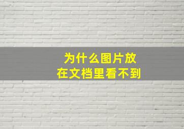 为什么图片放在文档里看不到