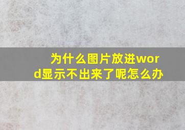 为什么图片放进word显示不出来了呢怎么办