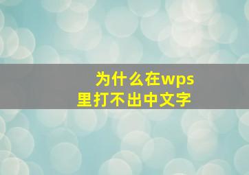 为什么在wps里打不出中文字