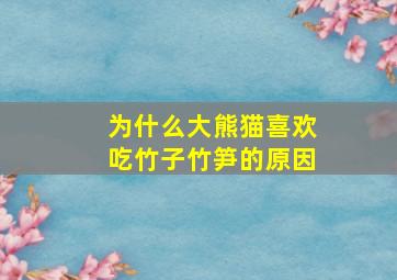 为什么大熊猫喜欢吃竹子竹笋的原因