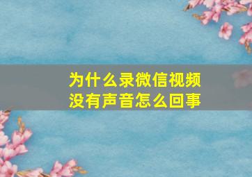 为什么录微信视频没有声音怎么回事