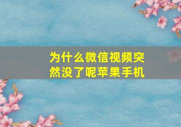 为什么微信视频突然没了呢苹果手机