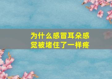 为什么感冒耳朵感觉被堵住了一样疼