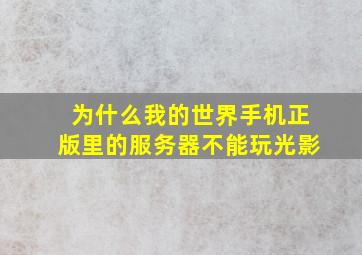 为什么我的世界手机正版里的服务器不能玩光影