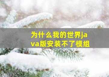 为什么我的世界java版安装不了模组