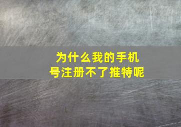 为什么我的手机号注册不了推特呢