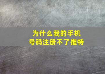 为什么我的手机号码注册不了推特