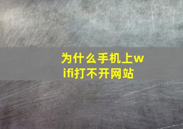 为什么手机上wifi打不开网站