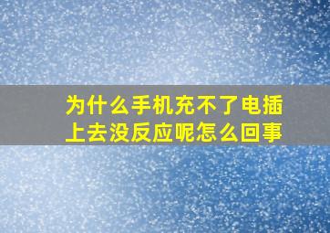 为什么手机充不了电插上去没反应呢怎么回事