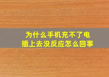 为什么手机充不了电插上去没反应怎么回事