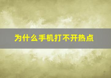 为什么手机打不开热点