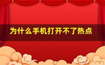 为什么手机打开不了热点