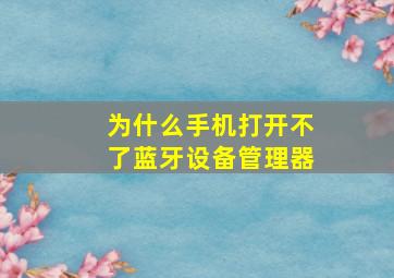 为什么手机打开不了蓝牙设备管理器