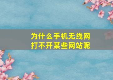 为什么手机无线网打不开某些网站呢