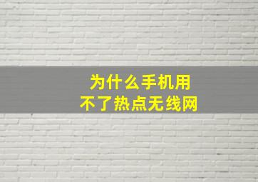 为什么手机用不了热点无线网