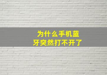 为什么手机蓝牙突然打不开了