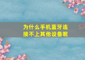 为什么手机蓝牙连接不上其他设备呢