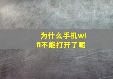 为什么手机wifi不能打开了呢