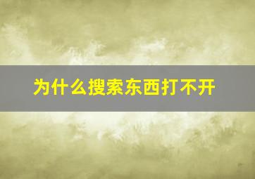 为什么搜索东西打不开