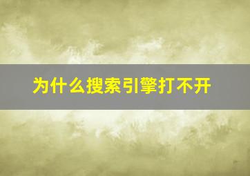 为什么搜索引擎打不开