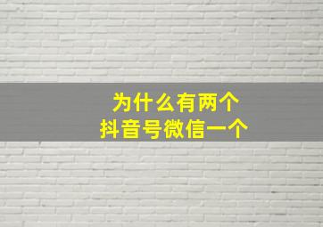 为什么有两个抖音号微信一个