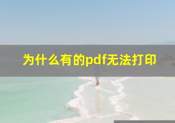 为什么有的pdf无法打印