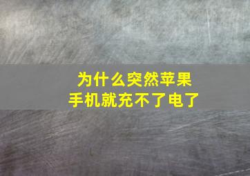 为什么突然苹果手机就充不了电了