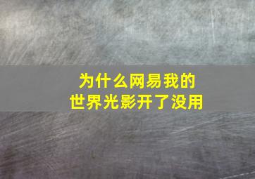 为什么网易我的世界光影开了没用