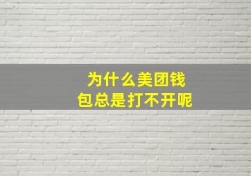 为什么美团钱包总是打不开呢