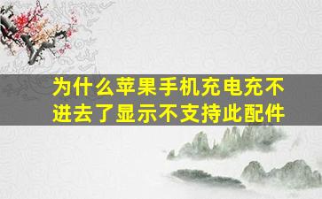 为什么苹果手机充电充不进去了显示不支持此配件