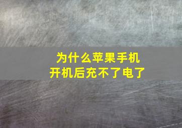 为什么苹果手机开机后充不了电了