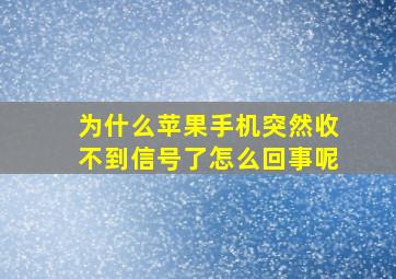 为什么苹果手机突然收不到信号了怎么回事呢