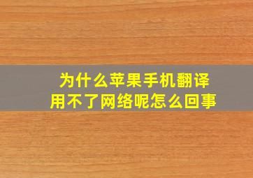 为什么苹果手机翻译用不了网络呢怎么回事