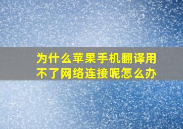 为什么苹果手机翻译用不了网络连接呢怎么办