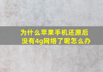 为什么苹果手机还原后没有4g网络了呢怎么办