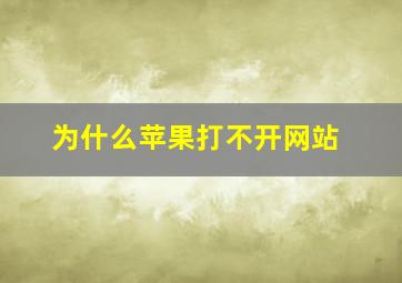 为什么苹果打不开网站