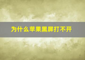 为什么苹果黑屏打不开