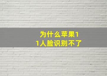 为什么苹果11人脸识别不了