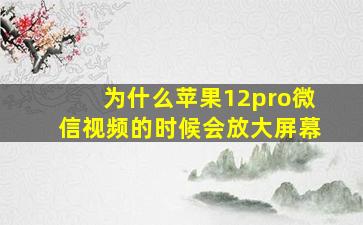 为什么苹果12pro微信视频的时候会放大屏幕