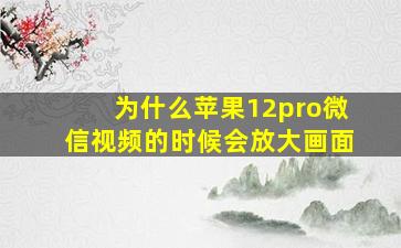 为什么苹果12pro微信视频的时候会放大画面