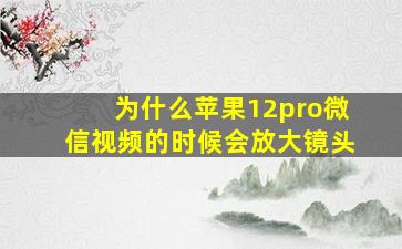 为什么苹果12pro微信视频的时候会放大镜头