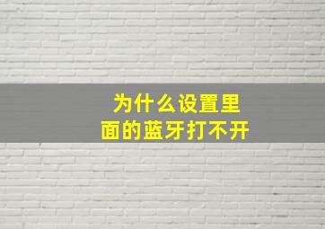 为什么设置里面的蓝牙打不开