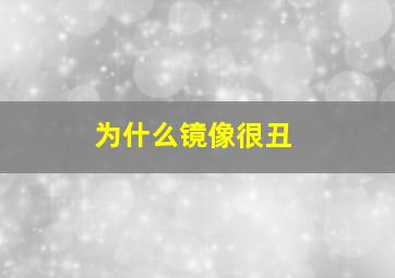 为什么镜像很丑