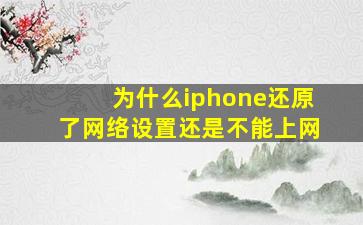 为什么iphone还原了网络设置还是不能上网