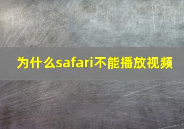 为什么safari不能播放视频