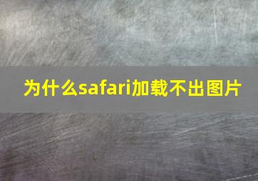 为什么safari加载不出图片